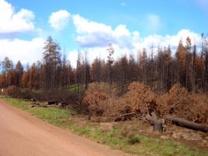 wallow wildfire arizona
