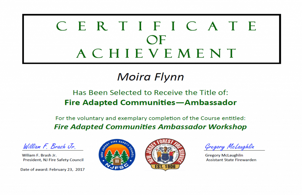 Sample certificate, with logos and signatures to make it official!