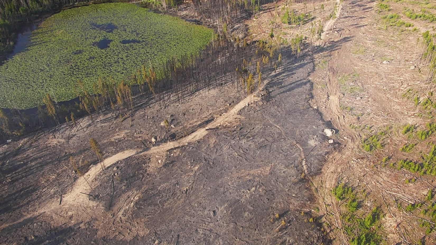 Aerial view of a landscape that was partially burned. The boundary of the burn coincides with the edge of a forest stand that was previously thinned.