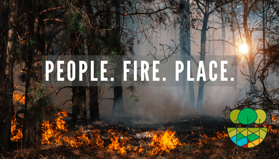 People. Fire. Place.
