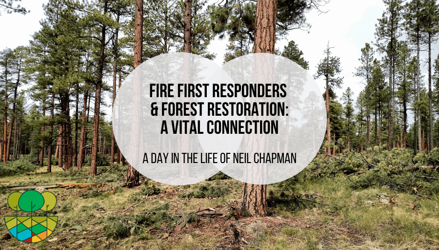 Fire First Responders and Forest Restoration, a Vital Connection: A Day in the Life of Neil Chapman