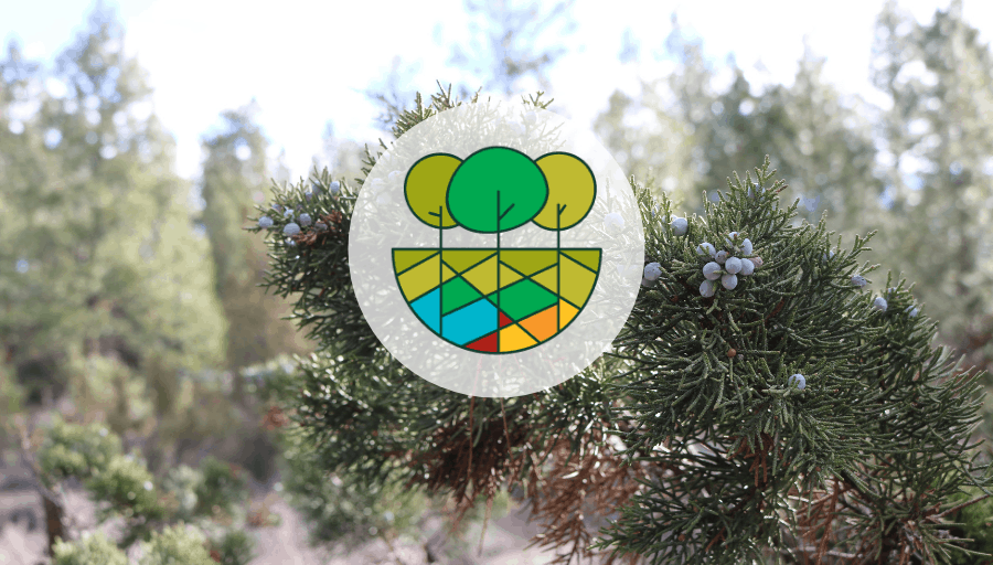 Image of FAC Net Logo in front of image of cedar bush.