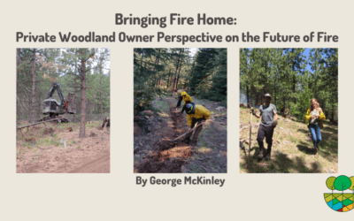 Bringing Fire Home: Private Woodland Owner Perspective on the Future of Fire