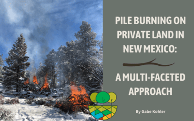 Pile Burning on Private Land in New Mexico: A Multi-Faceted Approach