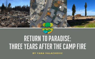 Return to Paradise: Three Years After the Camp Fire