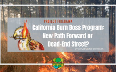 California Burn Boss Program: New Path Forward or Dead-End Street?