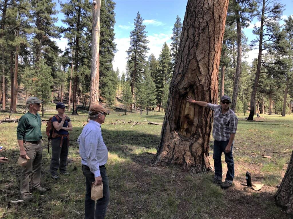 A man puts his hand on a tree while three people observe