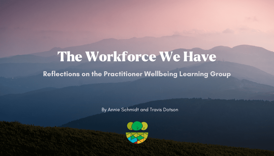 The Workforce We Have: Reflections on the Practitioner Wellbeing Learning Group