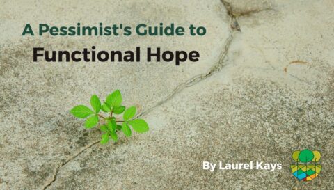 Blog title over a photo of cement with a plant growing through a crack