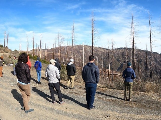 Eight people stand under a sunny sky in a dirt road, in front of a burned forest area, facing away from the camera.