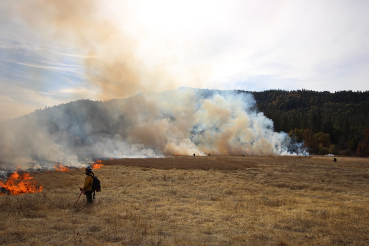 A person in firefighting gear stands in the foreground of a large open field with a forested hill in the background. A prescribed fire with plumes of smoke burns with low flame heights across the field.