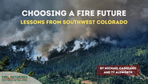Blog title over a longview photo of a forested area with smoke rising from a prescribed fire.