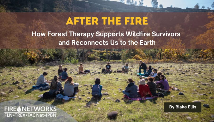 After the Fire: How Forest Therapy Supports Wildfire Survivors and Reconnects Us to the Earth