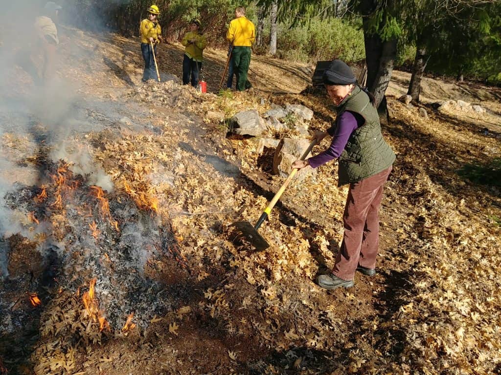 A woman rakes leaves into a low flame length prescribed fire on a hillside.