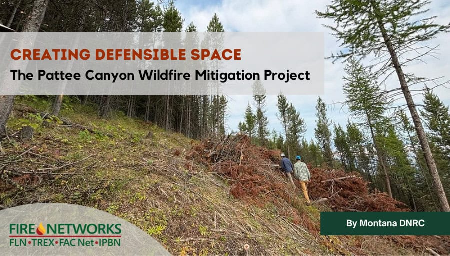 Creating Defensible Space: The Pattee Canyon Wildfire Mitigation Project