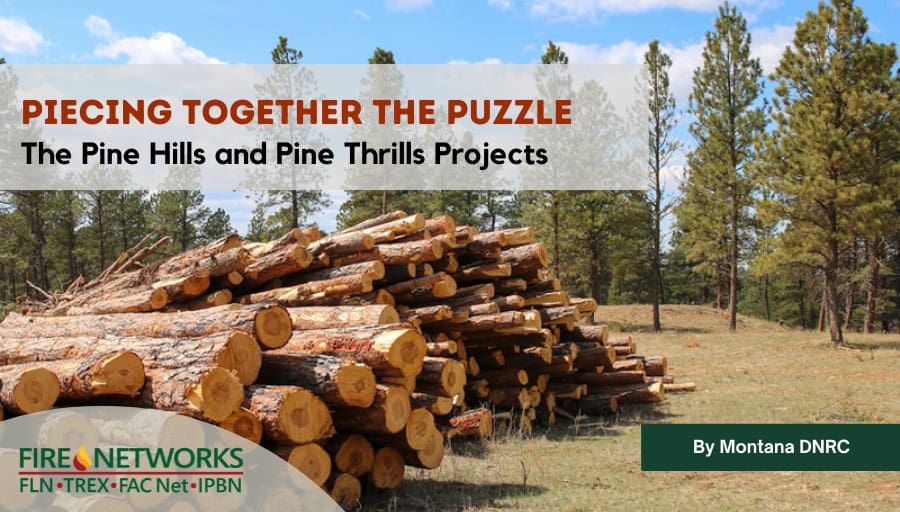 Piecing Together the Puzzle: The Pine Hills and Pine Thrills Projects