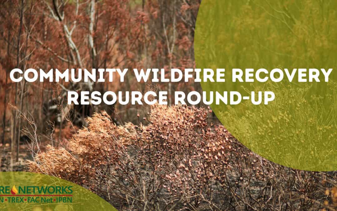 Community Wildfire Recovery Resource Round-Up