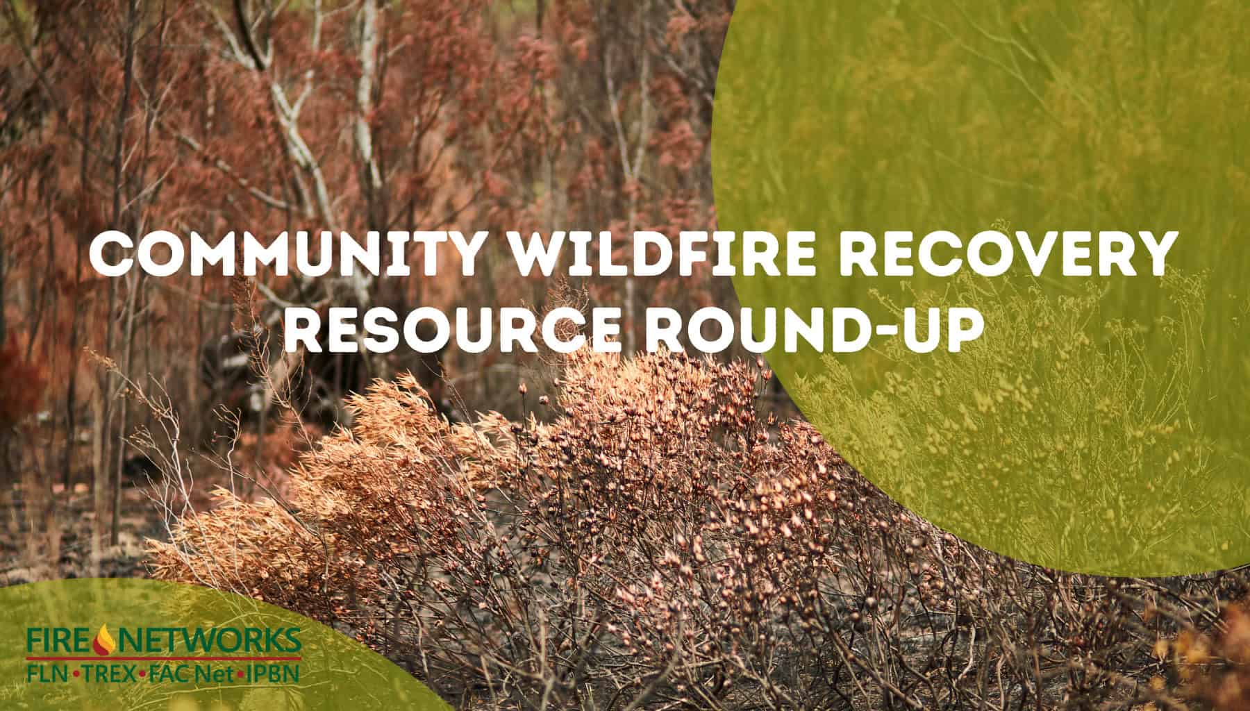 Community Wildfire Recovery Resource Round-Up